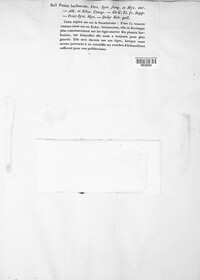 Calycina herbarum image